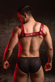 HARNESS HORNY DUDE ADJUSTABLE